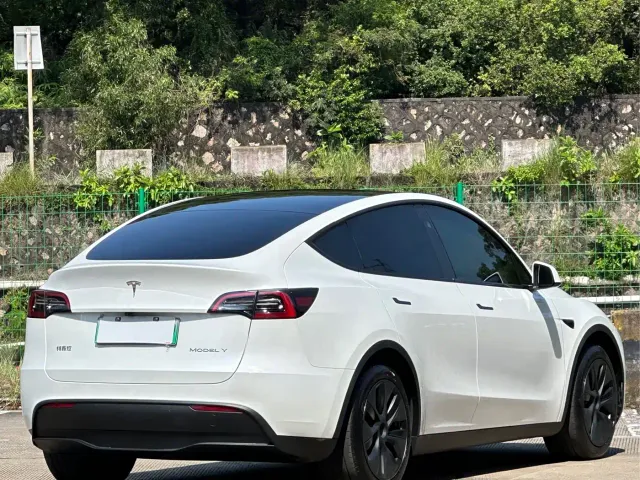 Tesla Model Y — Фото автомобиля 13