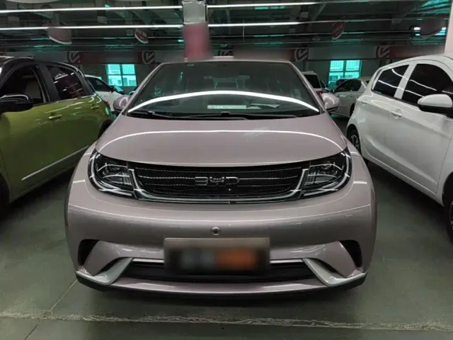 BYD Dolphin — Фото автомобиля 2