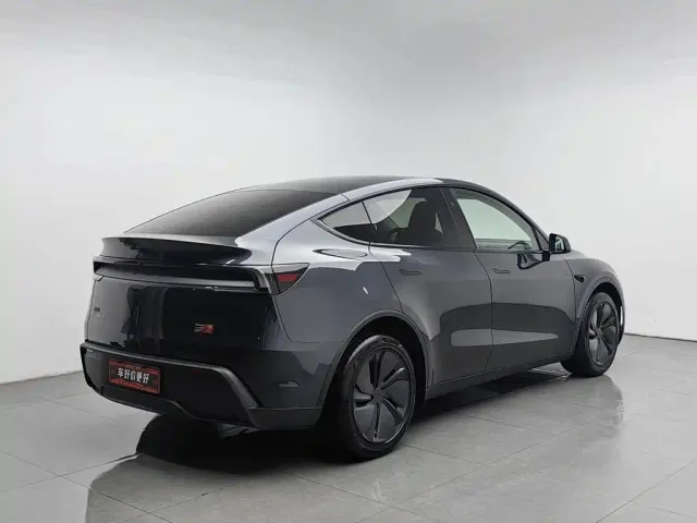 Tesla Model Y — Фото автомобиля 2
