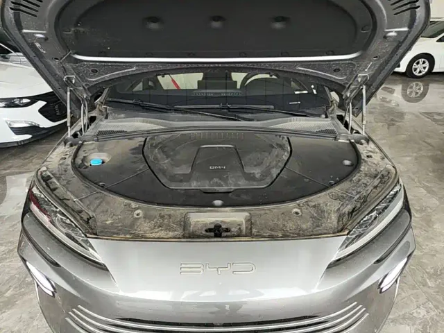 BYD Song PLUS — Фото автомобиля 17