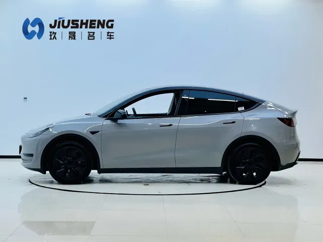 Tesla Model Y — Фото автомобиля 3