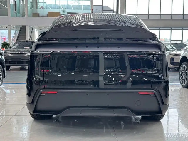 Tesla Model Y L — Фото автомобиля 4