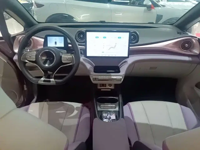 BYD Dolphin 2021 Model 405km Fashion Edition — Фото автомобиля 9