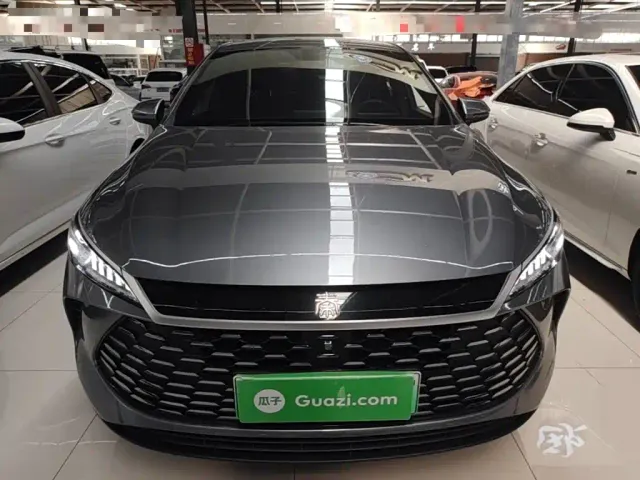 BYD Qin PLUS — Фото автомобиля 2