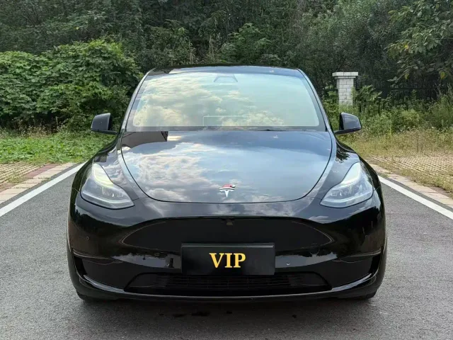 Tesla Model Y — Фото автомобиля 2