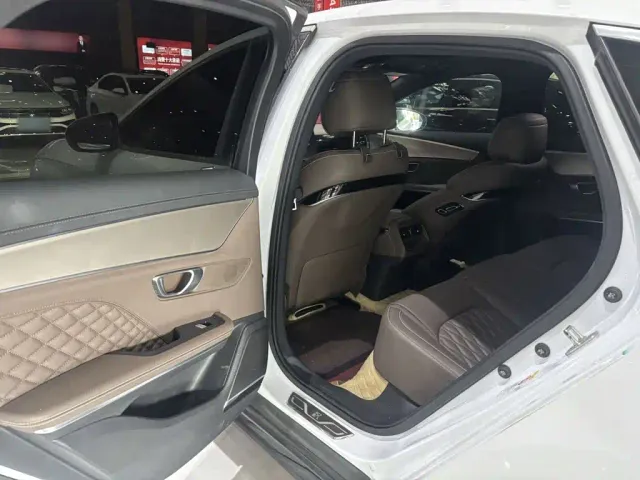 BYD Han — Фото автомобиля 9