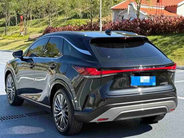 Lexus RX — Фото автомобиля 8
