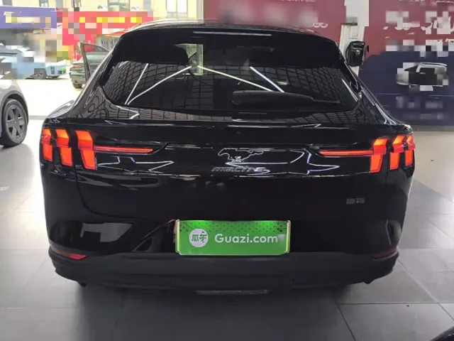 Ford Mustang Mach-E — Фото автомобиля 5