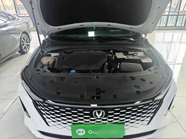 Changan Raeton Plus — Фото автомобиля 19