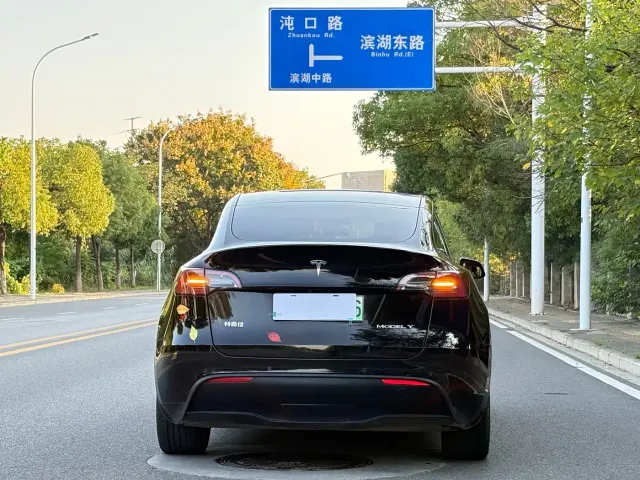 Tesla Model Y — Фото автомобиля 11