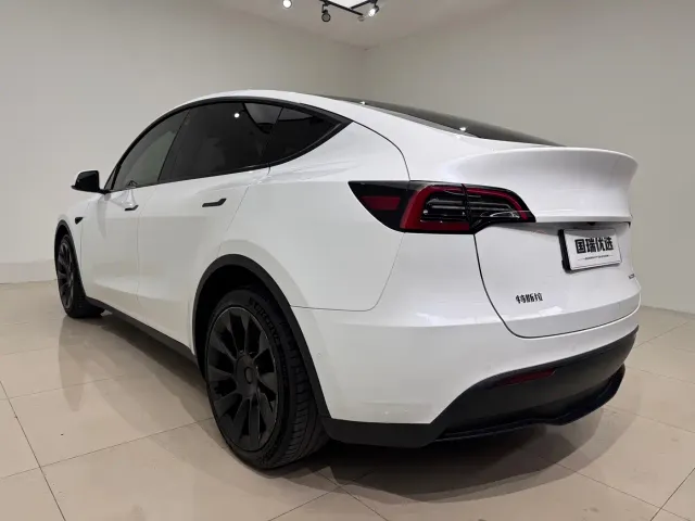 Tesla Model Y — Фото автомобиля 6