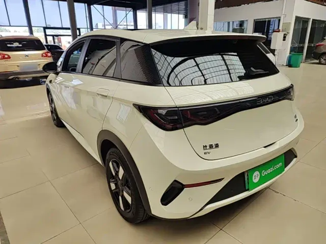 BYD Dolphin — Фото автомобиля 4