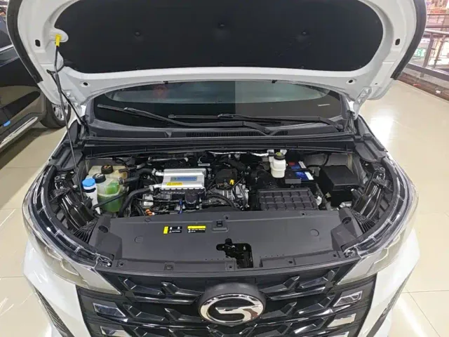 GAC Trumpchi M6 — Фото автомобиля 19