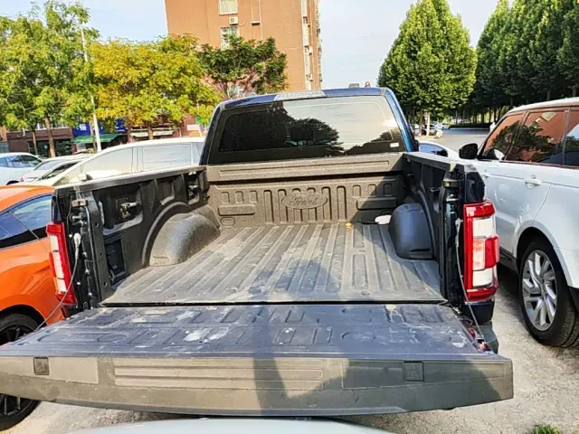 Ford F-150 Raptor — Фото автомобиля 18
