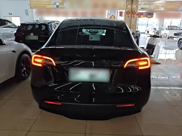 Tesla Model Y — Фото автомобиля 5