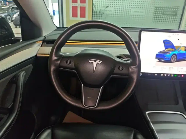 Tesla Model Y — Фото автомобиля 10