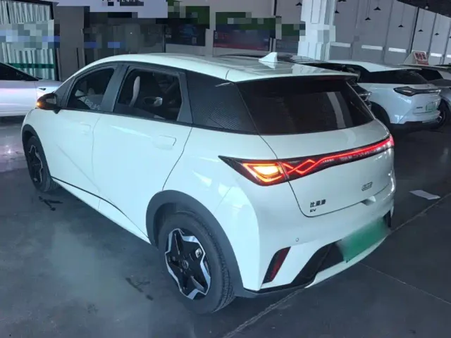 BYD Dolphin — Фото автомобиля 4