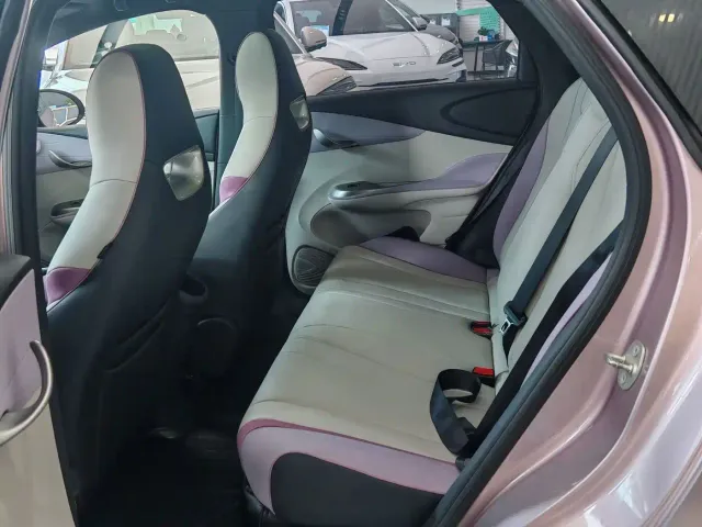 BYD Dolphin — Фото автомобиля 10