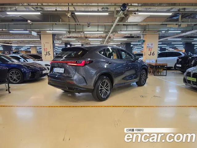 Lexus NX NX450h+ 2nd Gen — Фото автомобиля 2