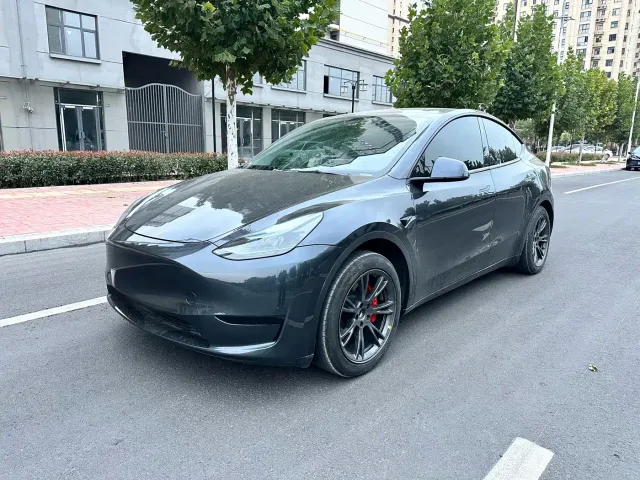 Tesla Model Y — Фото автомобиля 2