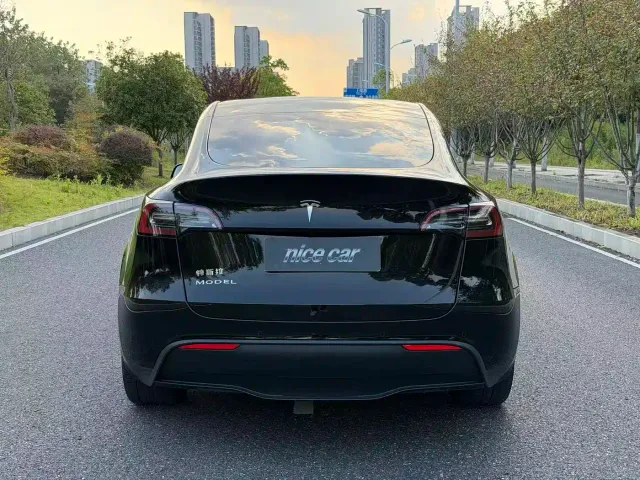 Tesla Model Y — Фото автомобиля 5