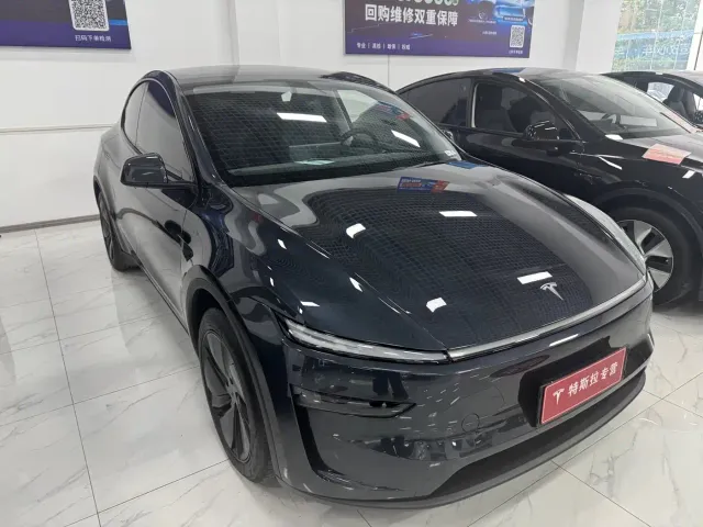 Tesla Model Y — Фото автомобиля 3