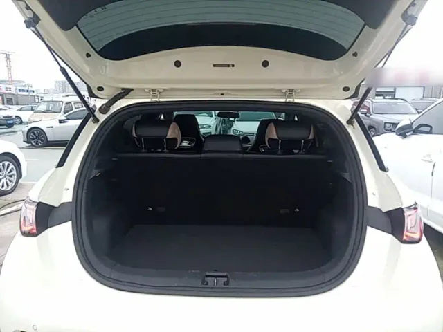 BYD Dolphin — Фото автомобиля 18