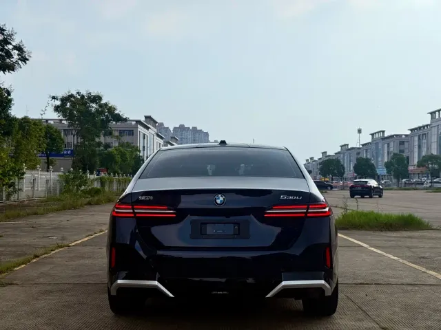 BMW 5 Series — Фото автомобиля 8
