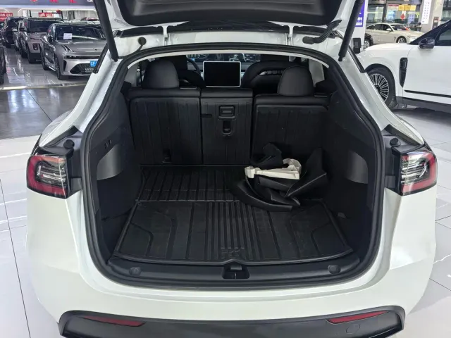 Tesla Model Y — Фото автомобиля 10