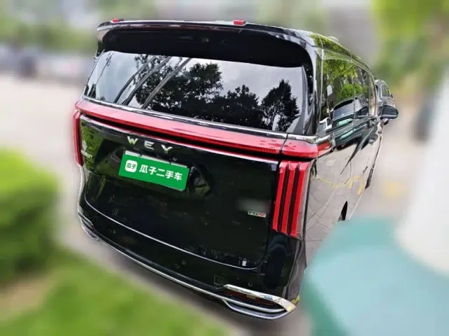 Wey Alpine — Фото автомобиля 6
