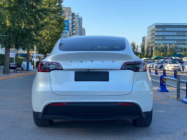 Tesla Model Y — Фото автомобиля 4