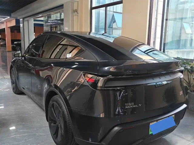 Tesla Model Y — Фото автомобиля 9