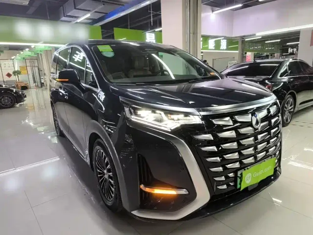 Denza Denza D9 2023 DM-i 965 Premium — Фото автомобиля 3