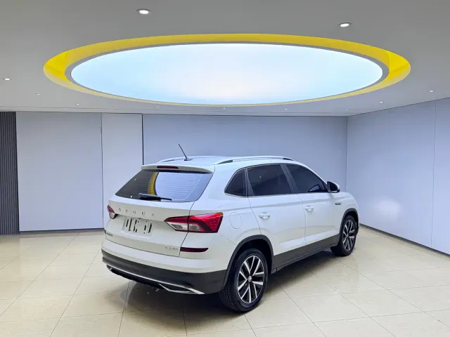 Skoda Kamiq — Фото автомобиля 6