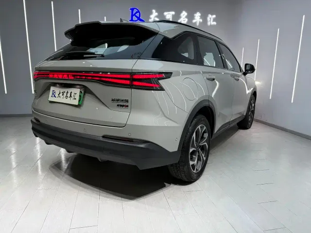 Haval Xiaolong MAX — Фото автомобиля 9