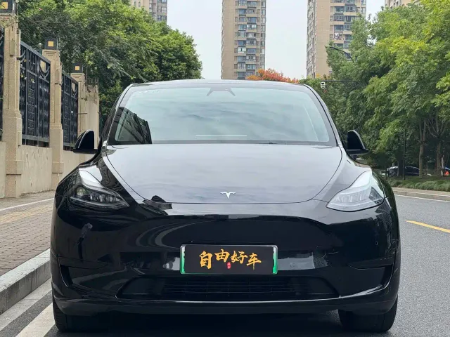 Tesla Model Y — Фото автомобиля 2
