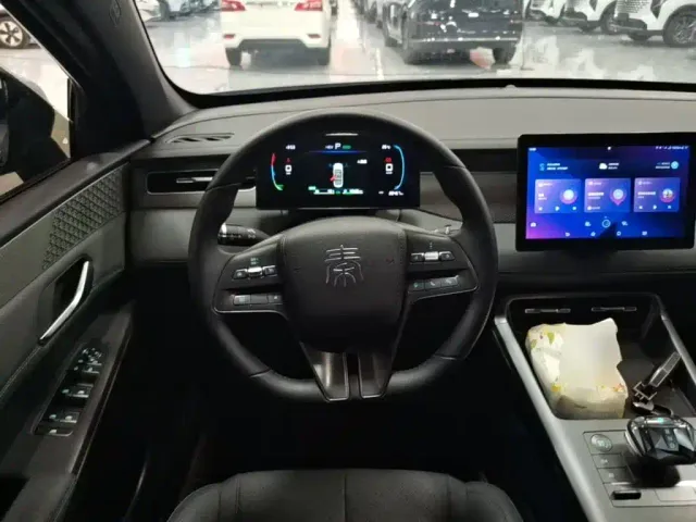 BYD Qin PLUS — Фото автомобиля 10