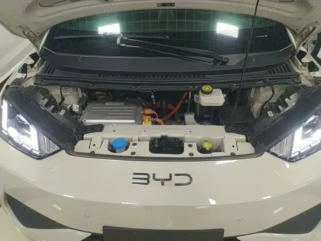 BYD Seagull — Фото автомобиля 19