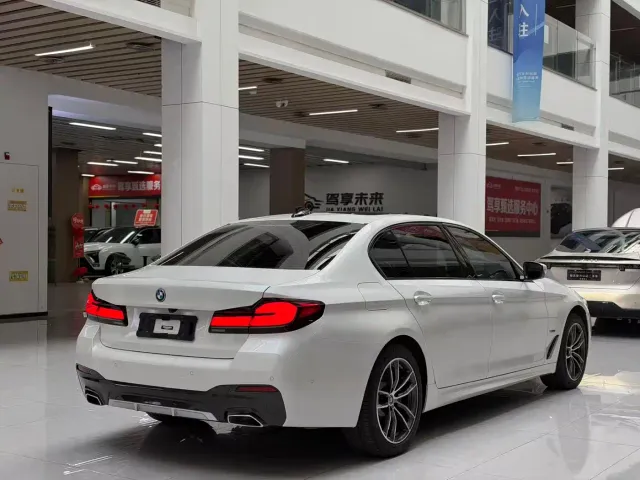 BMW 5 Series — Фото автомобиля 5