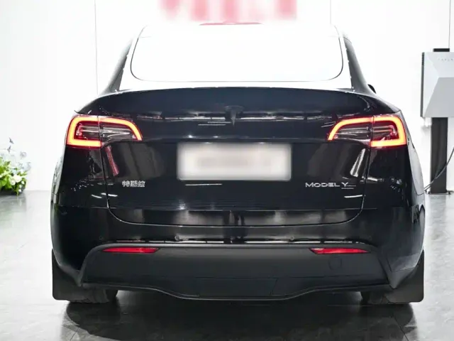 Tesla Model Y — Фото автомобиля 5