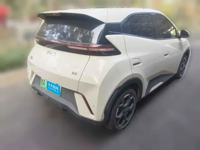 BYD Seagull — Фото автомобиля 2