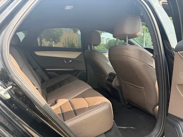 BYD BYD e9 2022 Model Year Business Edition — Фото автомобиля 11