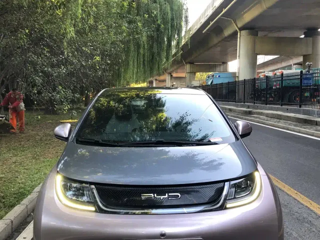 BYD Dolphin — Фото автомобиля 2