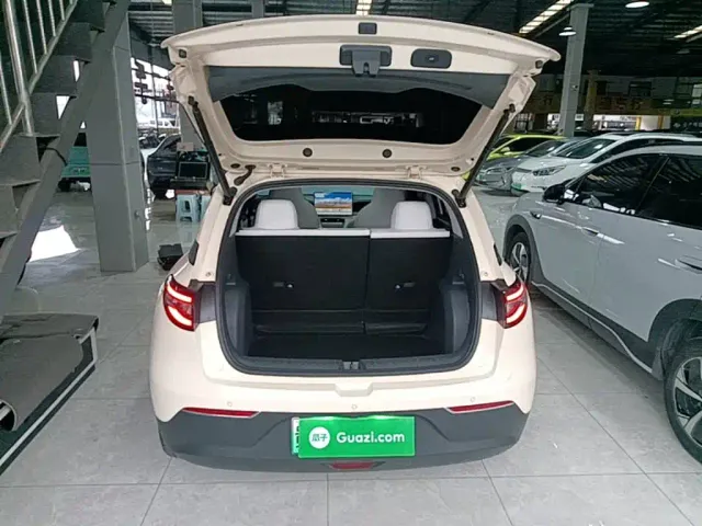 Geely Starry Wish — Фото автомобиля 18