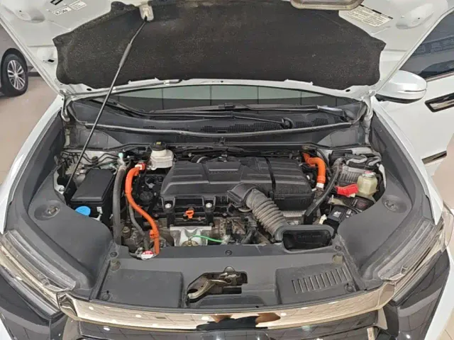 Honda Elysion — Фото автомобиля 19