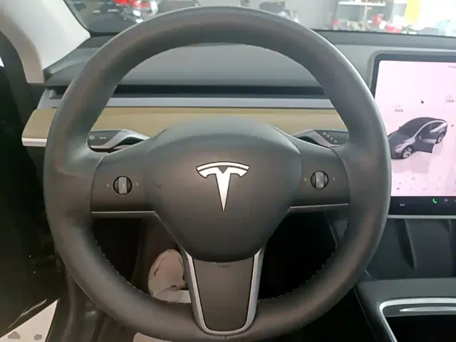 Tesla Model Y — Фото автомобиля 10
