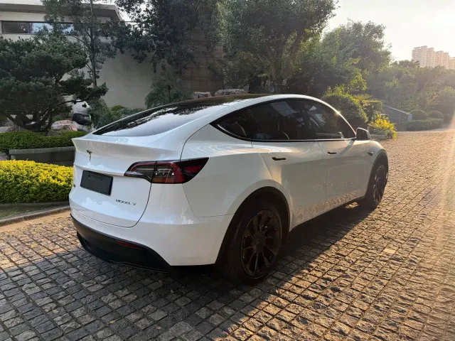 Tesla Model Y — Фото автомобиля 13
