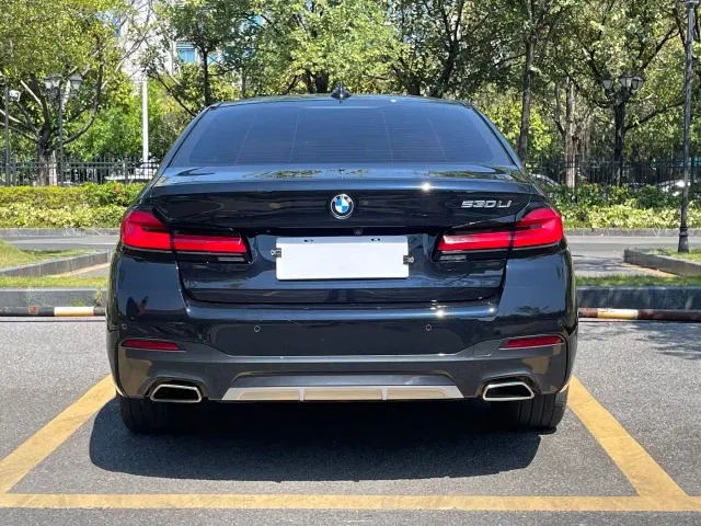 BMW 5 Series — Фото автомобиля 5