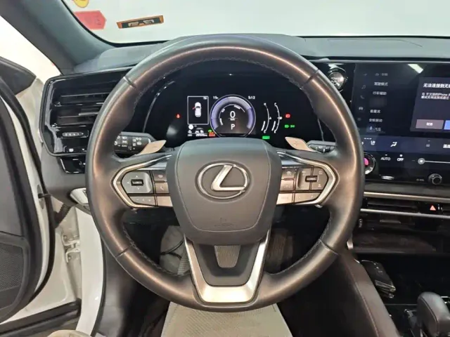 Lexus RX — Фото автомобиля 6