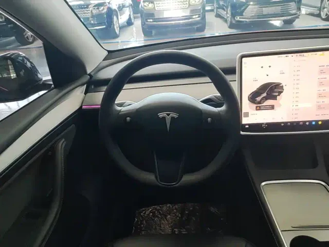 Tesla Model Y — Фото автомобиля 10